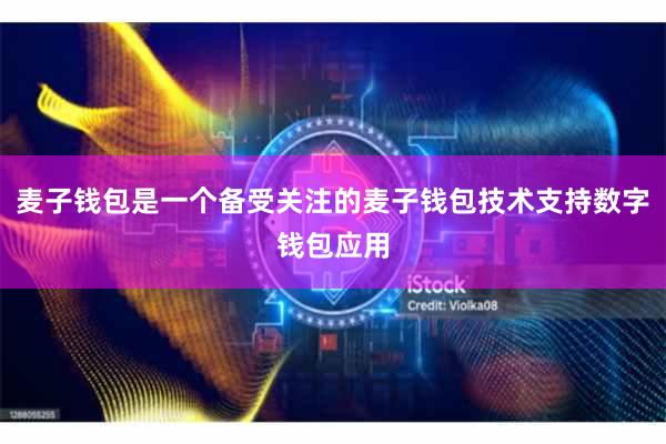 麦子钱包是一个备受关注的麦子钱包技术支持数字钱包应用