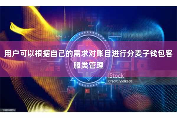 用户可以根据自己的需求对账目进行分麦子钱包客服类管理