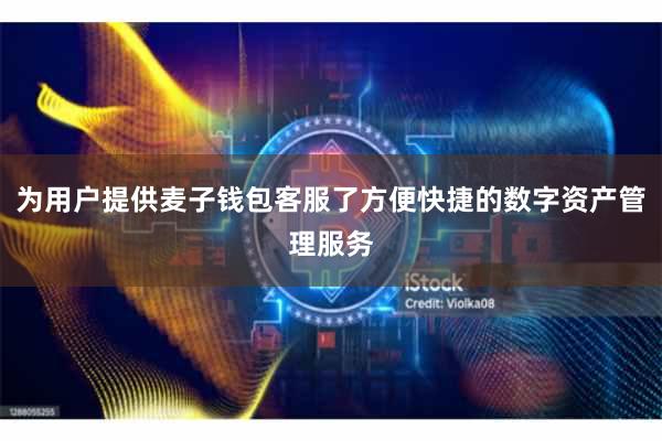 为用户提供麦子钱包客服了方便快捷的数字资产管理服务