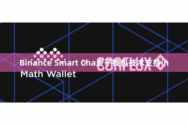 Binance Smart Cha麦子钱包技术支持in