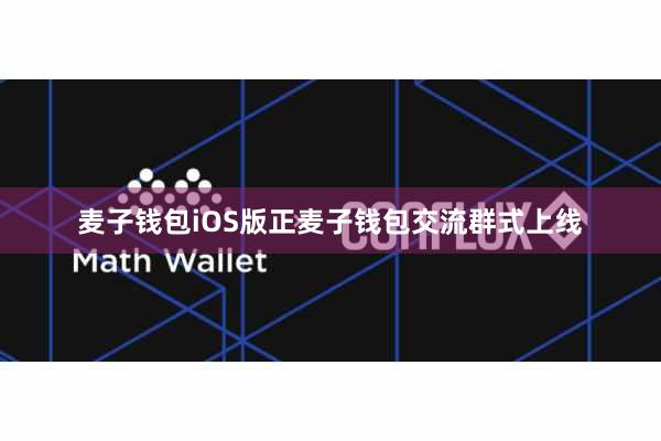 麦子钱包iOS版正麦子钱包交流群式上线