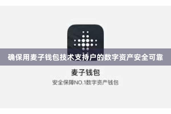 确保用麦子钱包技术支持户的数字资产安全可靠