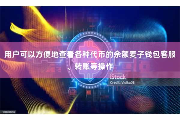 用户可以方便地查看各种代币的余额麦子钱包客服、转账等操作