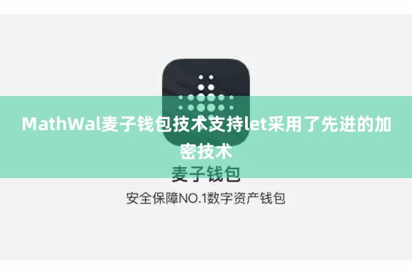 MathWal麦子钱包技术支持let采用了先进的加密技术