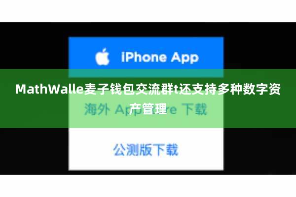 MathWalle麦子钱包交流群t还支持多种数字资产管理